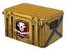 Falchion Case