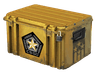 Gamma 2 Case
