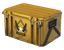 Winter Offensive Weapon Case